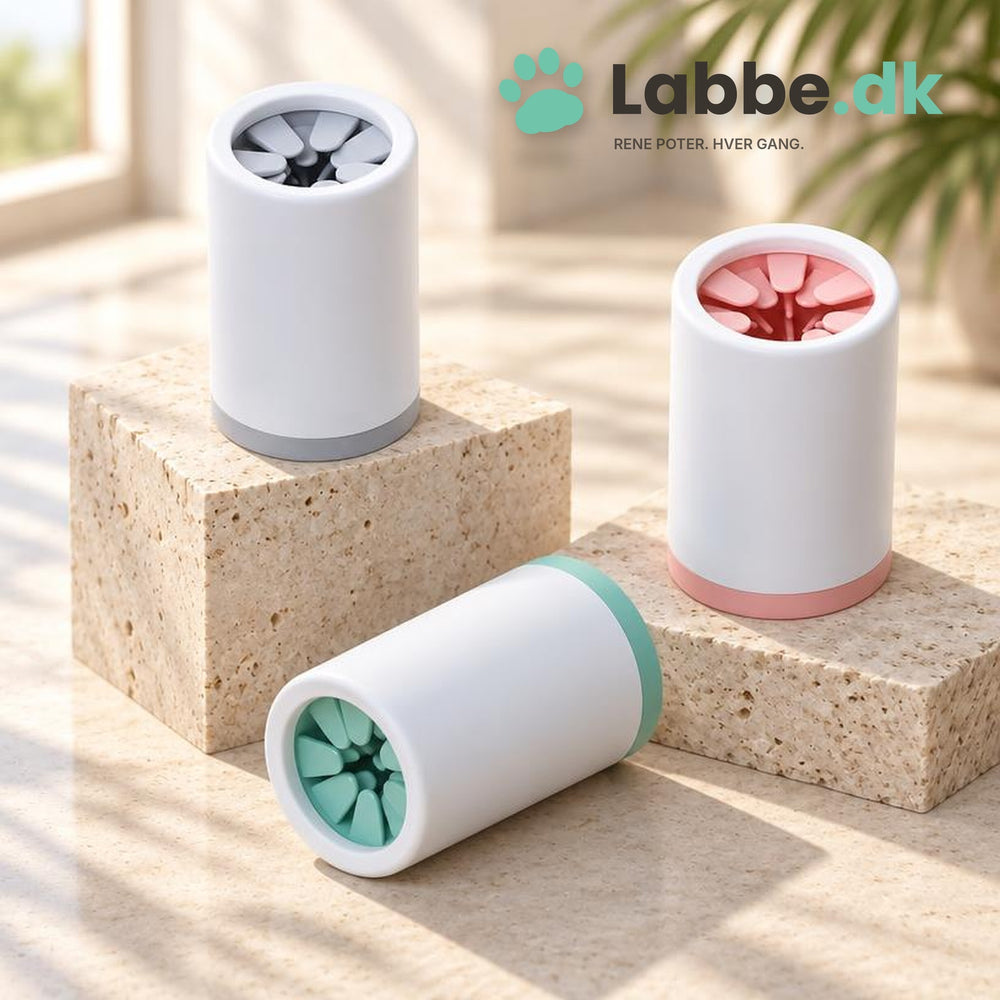 Labbe Potevasker