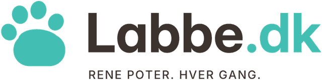 Labbe - Start